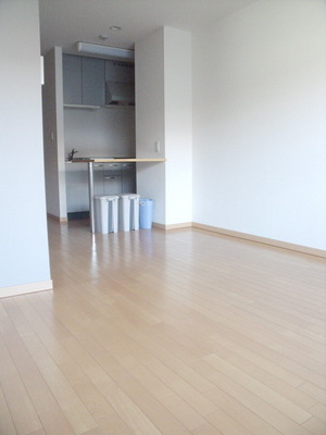 Other room space. Beautiful flooring