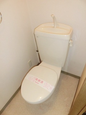 Toilet. Toilet