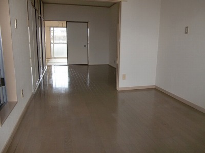 Living and room. Clean flooring