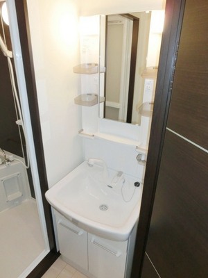 Washroom. Convenient Vanity