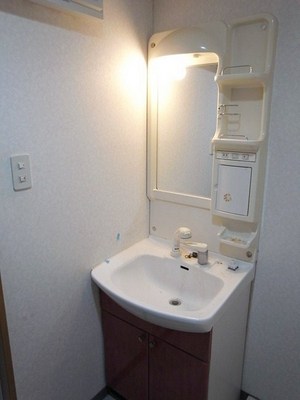 Washroom. Convenient shampoo dresser in a busy morning