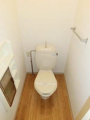 Toilet. Western-style type of separate toilet