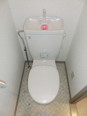 Toilet. It is a simple toilet.