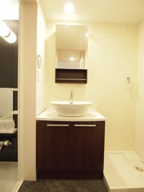 Washroom. Stylish vanity