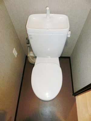 Toilet. I toilets are simple.