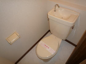 Toilet. It is settle space.