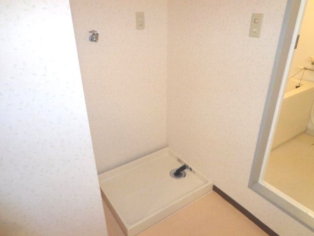 Other room space. It is indoor washing machine Storage. 