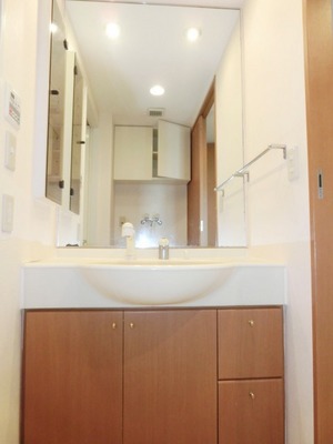 Washroom. Bathroom Vanity