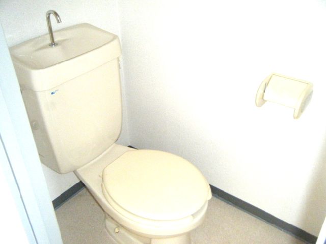 Toilet. Toilet