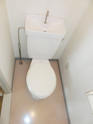 Toilet. I toilets are simple