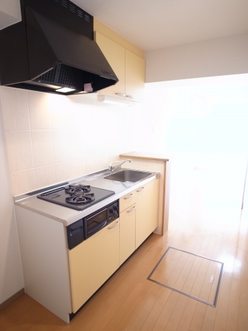 Kitchen. System kitchen with grill ☆