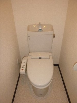 Toilet. Toilet with warm water washing toilet seat