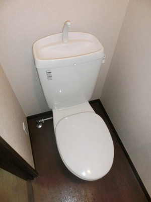 Toilet. Toilet