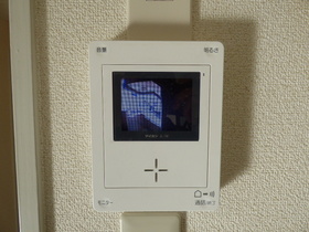 Other Equipment. You can see the visitors in the intercom with TV monitor.