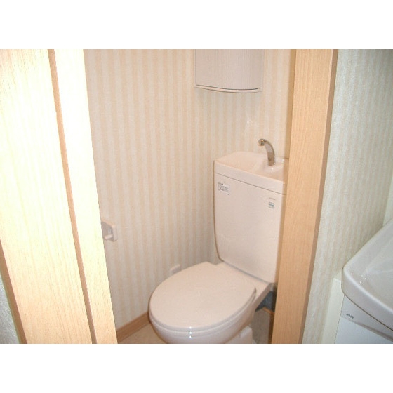 Toilet. With warm water washing toilet seat