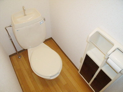 Toilet. Toilet