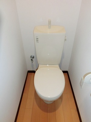 Toilet. Toilets are simple.