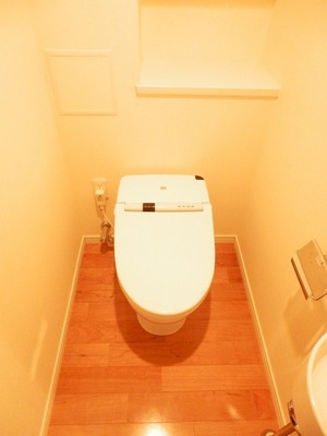 Toilet. There is housed in the upper part!