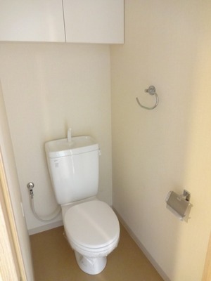 Toilet. Convenient hanging armoire for storage of small items to the top.