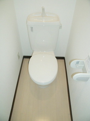 Toilet. Toilet