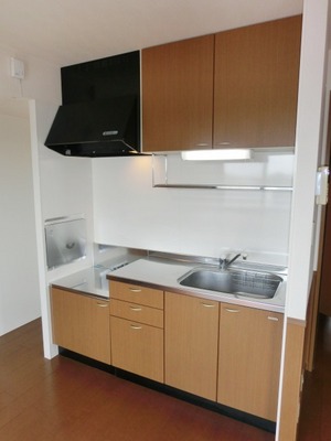 Kitchen. Two-burner gas stove can be installed