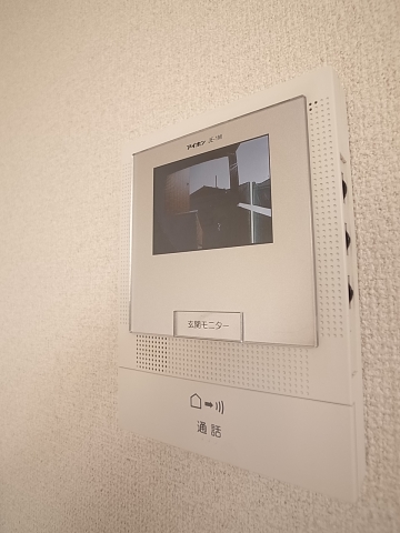 Security. TV monitor phone is standard equipment