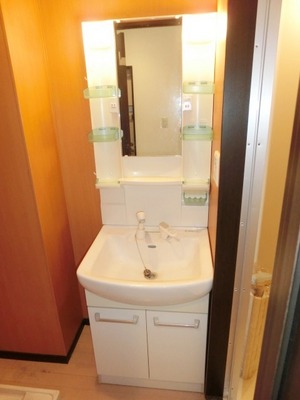 Washroom. Bathroom Vanity