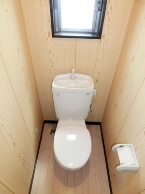 Toilet. Independent type of simple toilet