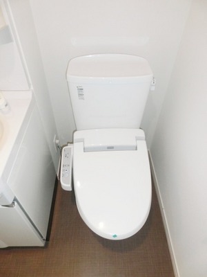 Toilet. With cleaning function.