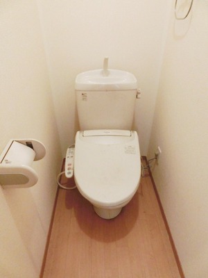 Toilet. I toilets are simple.