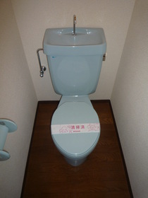 Toilet. It is settle space. 