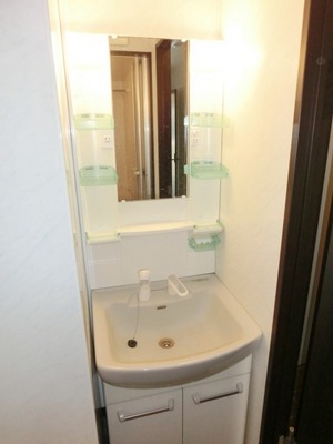 Washroom. Bathroom Vanity