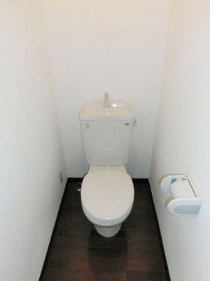 Toilet. Toilet