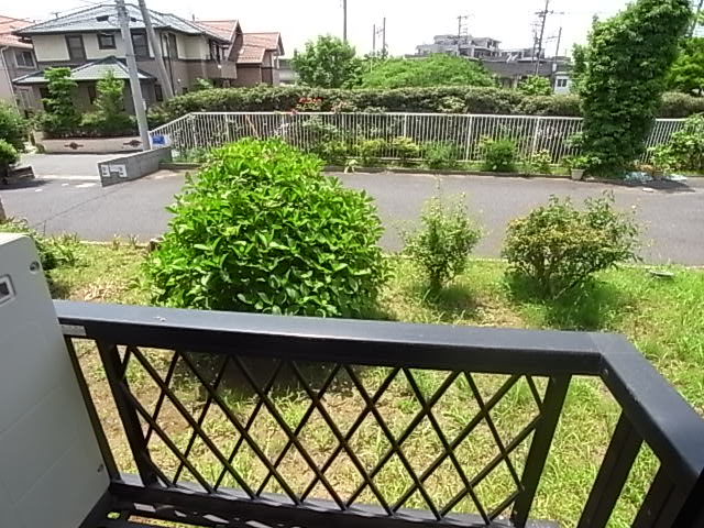 Balcony. Green is I open the window ☆