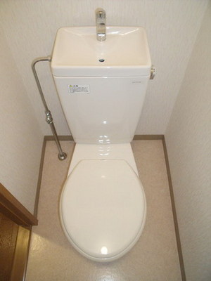 Toilet. Separate toilet