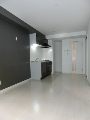 Living and room. Spacious LDK