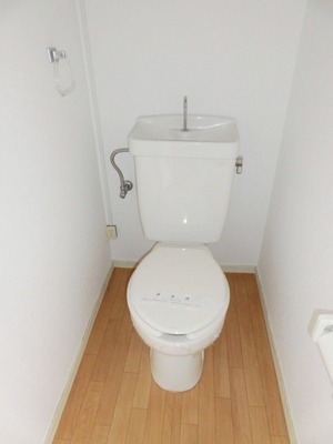 Toilet. It is a simple toilet.