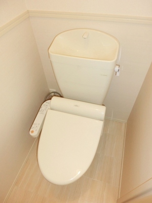 Toilet. Toilet with warm water washing toilet seat