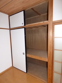 Other. Closet type with storage of Western-style