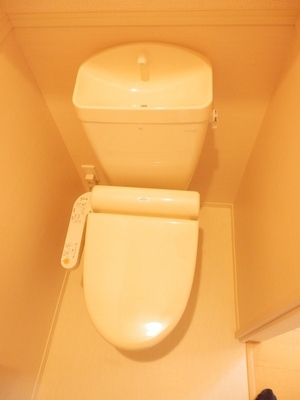Toilet. It is your toilet with a hot-water washing heating toilet seat.