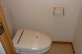 Toilet. It is heating toilet seat, There was even in the winter