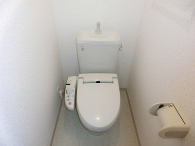 Toilet. Bidet with toilet