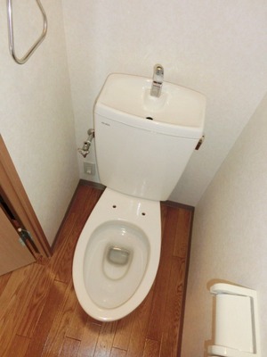 Toilet. Toilet