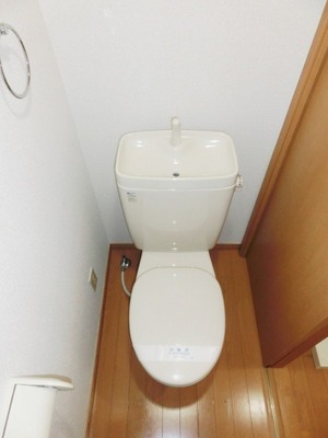 Toilet. Separate toilet