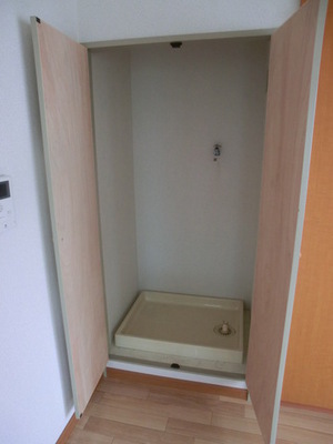 Other Equipment. Indoor Laundry storage will hide