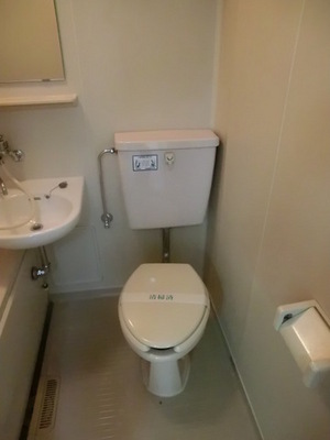 Toilet. Toilet