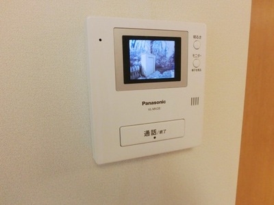 Security. Crime prevention TV Intercom equipped