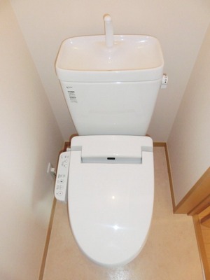 Toilet. With cleaning function.