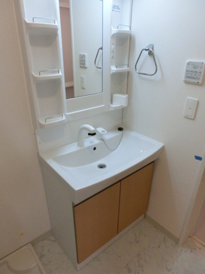 Washroom. Wash basin with shampoo dresser