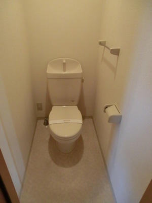 Toilet. The comfort toilet